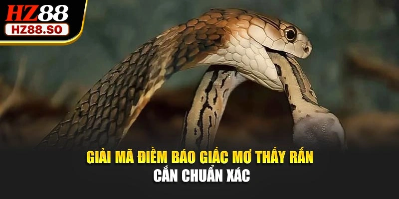 Giải mã điềm báo giấc mơ thấy rắn cắn chuẩn xác
